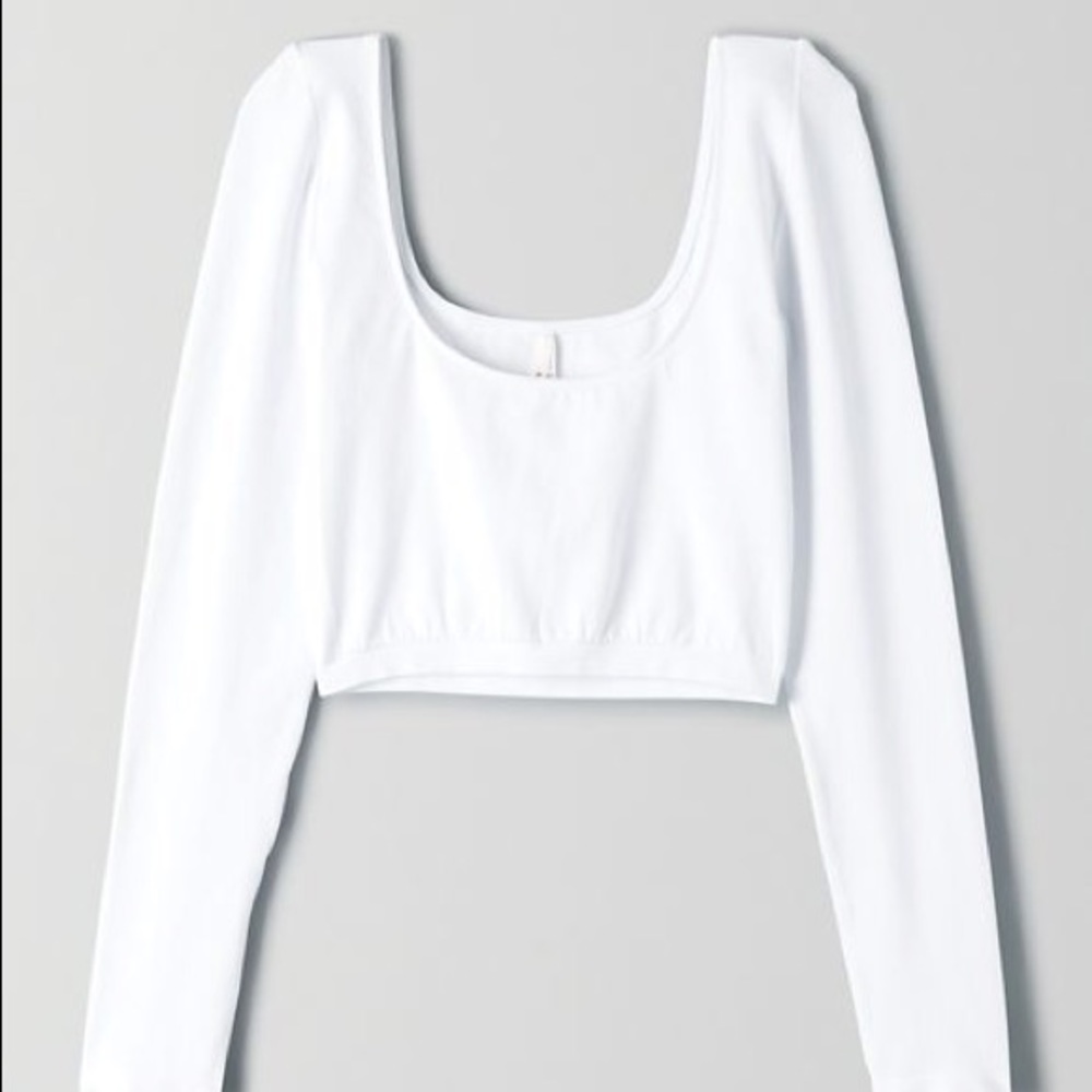 Aritzia Babaton Didot Longsleeve
